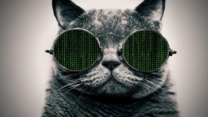 面试中被嘲笑Token放在redis里，该如何应对这种情况呢？